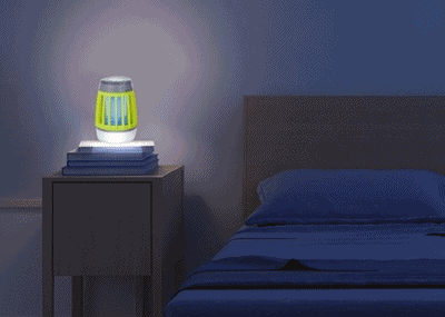 2020090211014738038b1.gif